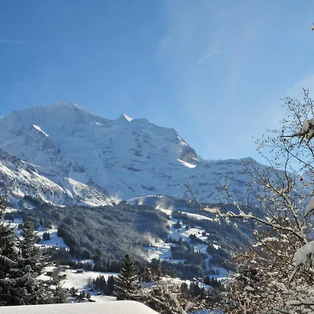 Chalet Mioche By Interhome Wengen