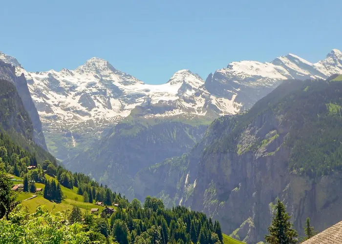 Mioche By Interhome Wengen