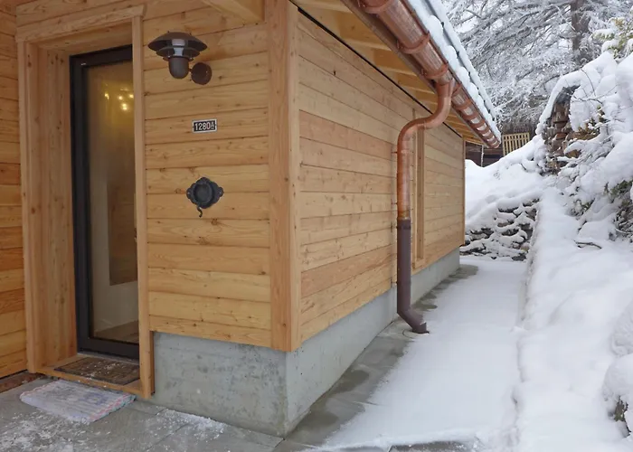 Mioche By Interhome * Wengen