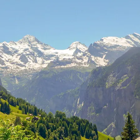 Mioche By Interhome Wengen